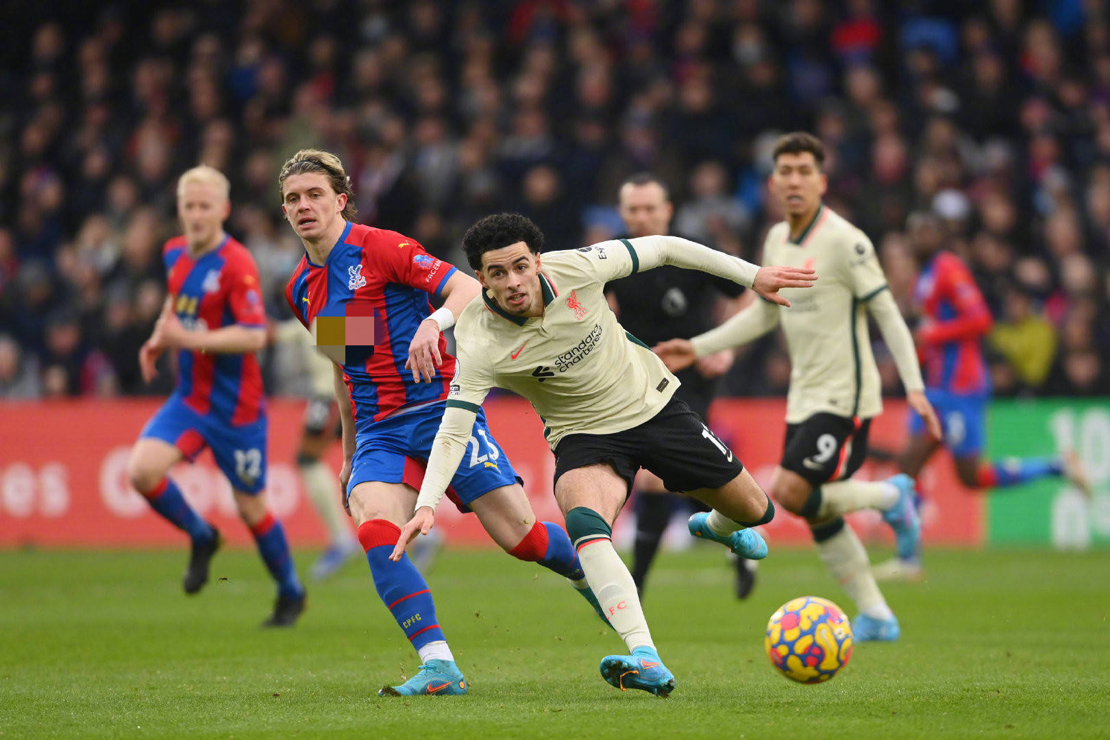 的巴萨董事 的巴萨董事